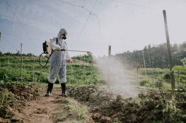 Best Local Pest Control Services  in Walton, KY