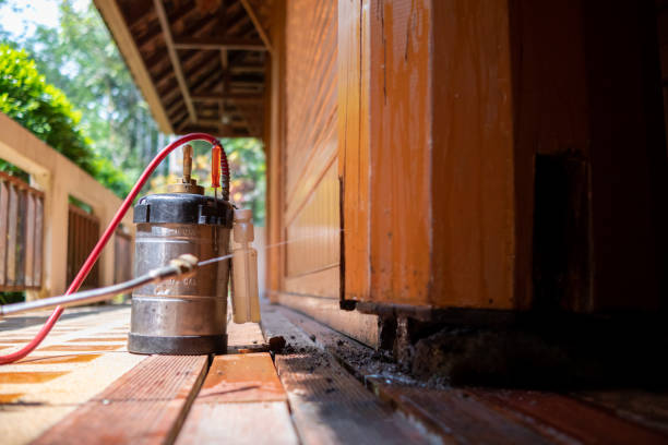 Best Mosquito Control Services  in Walton, KY