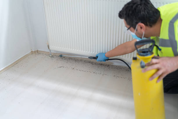 Best Best Pest Control Companies  in Walton, KY