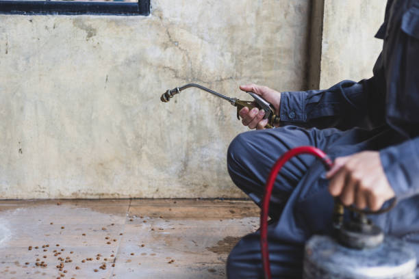 Best Pest Prevention Services  in Walton, KY