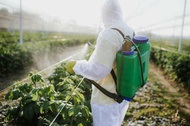 Best Pest Removal Services  in Walton, KY